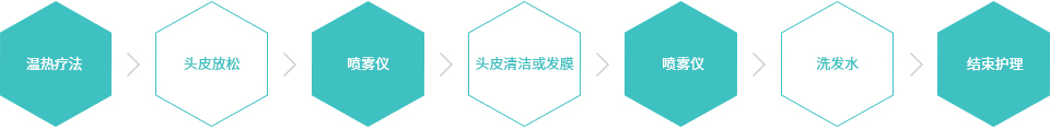 온열요법, 릴렉스, 미스트기, 스케일링 또는 팩, 미스트기, 샴푸, 마무리